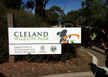 Парк дикой природы Клиланд (Cleland Wildlife) в Аделаиде – фотографии Австралии