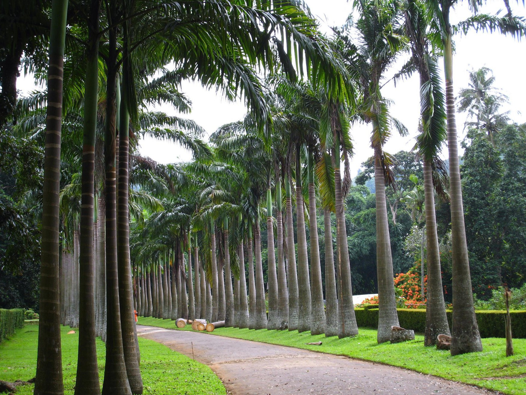Канди, Шри-Ланка, фото № 51402 – фотографии Шри-Ланки