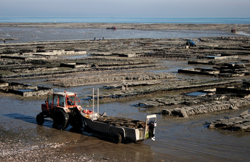 Море в Канкаль, Франция – фотографии Франции