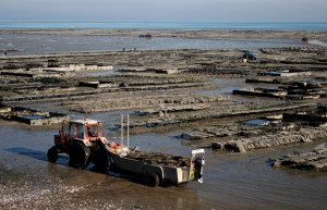 Море в Канкаль, Франция – фотографии Франции