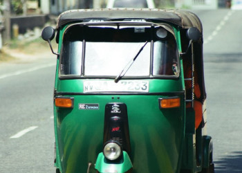 Шри-Ланка, фото № 1175 – фотографии Шри-Ланки