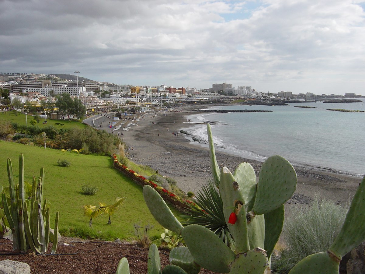 Коста-Адехе, Тенерифе остров, Канарские острова, фото № 33121 – фотографии Канарских островов