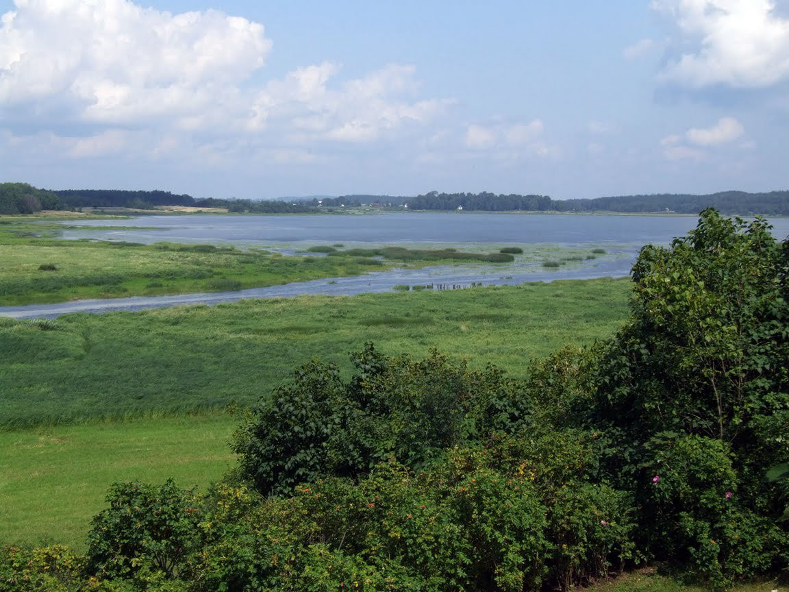 Природа в Пушкинские горы, Россия. Фото 3 – фотографии России