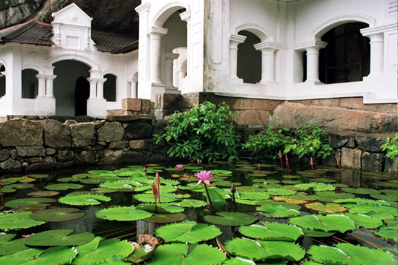 Дамбулла, Шри-Ланка, фото № 51051 – фотографии Шри-Ланки