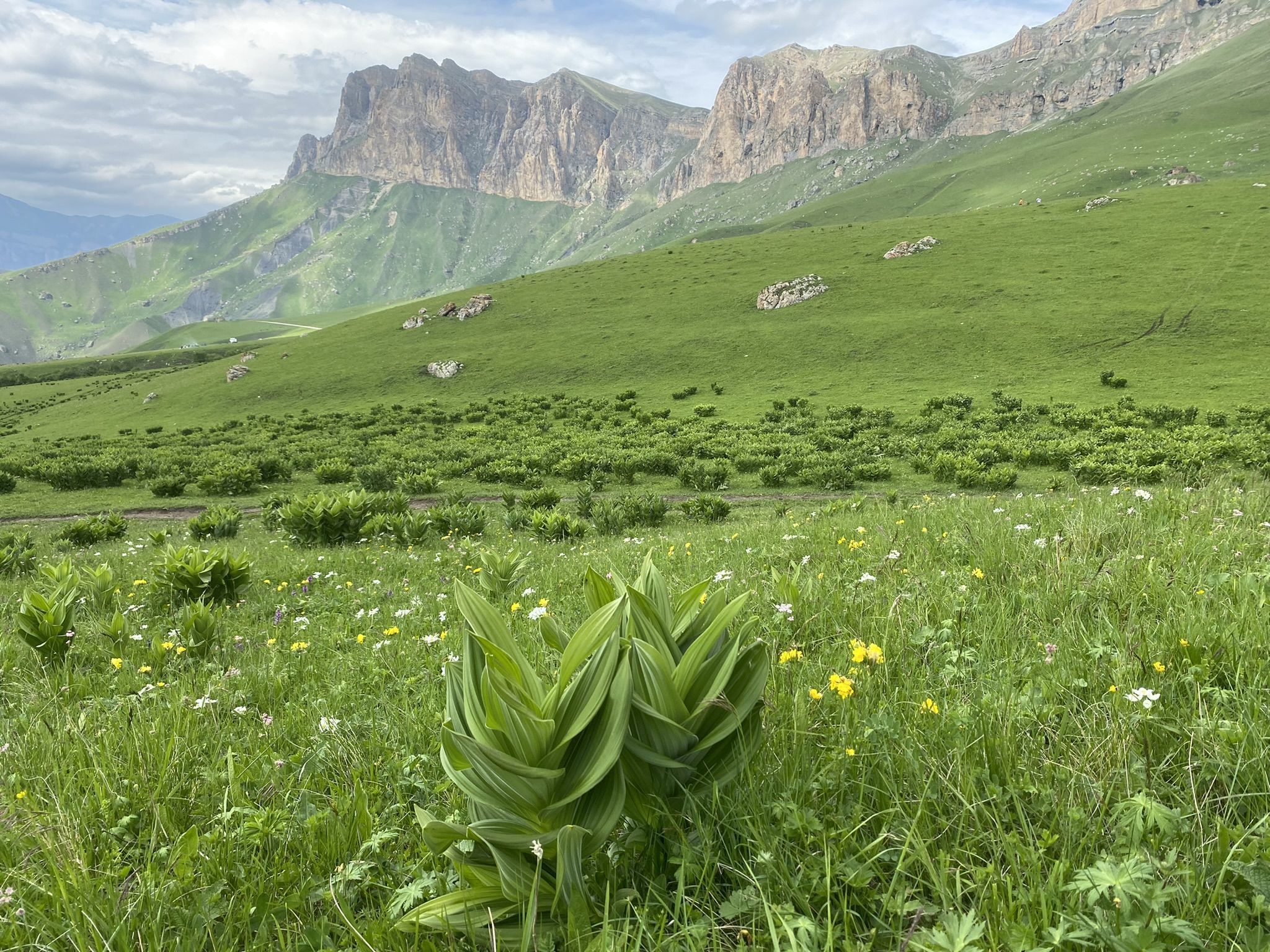 Альпийские пейзажи перевала Актопрак, Кабардино-Балкария, июнь – фотографии России