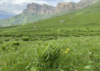 Альпийские пейзажи перевала Актопрак, Кабардино-Балкария, июнь – фотографии России
