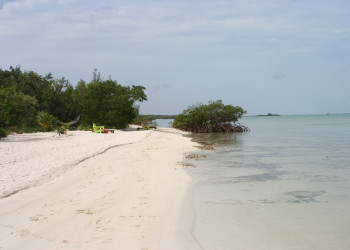 Пляж на острове Андрос, Багамские острова. Фото 4 – фотографии Багамских островов