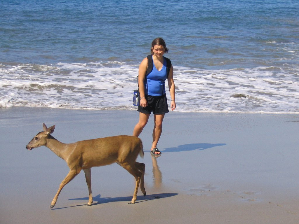 Мануэль Антонио Национальный Парк, Пунтаренас провинция, Коста-Рика, фото № 40663 – фотографии Коста-Рики