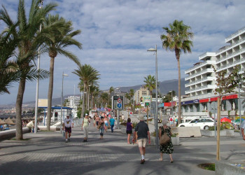 Плайя-де-лас-Америкас, Тенерифе остров, Канарские острова, фото № 33542 – фотографии Канарских островов