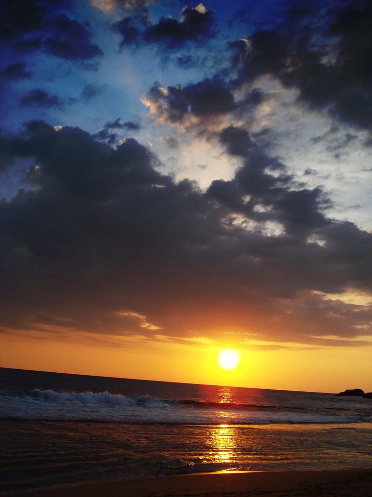 Хиккадува, Шри-Ланка, фото № 52566 – фотографии Шри-Ланки