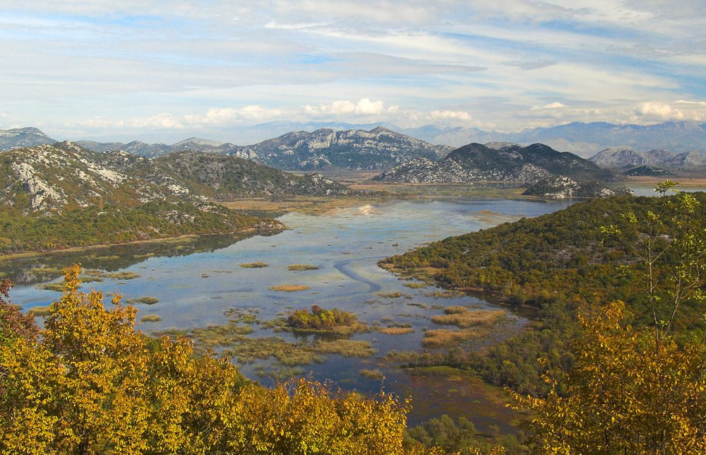 Скандарское озеро, Черногория. Фото 30 – фотографии Черногории