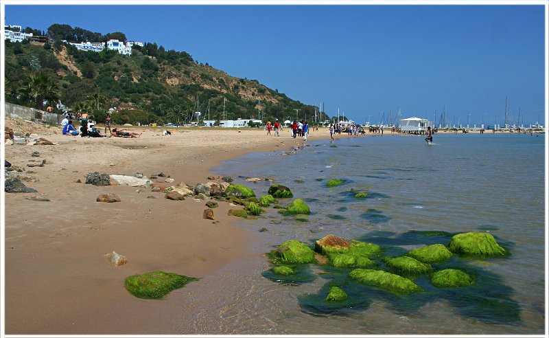 Пляж в Тунисе – фотографии Туниса