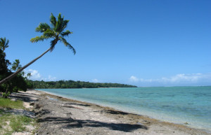 Янука остров, Лоу группа островов, Фиджи, фото № 48657 – фотографии Фиджи