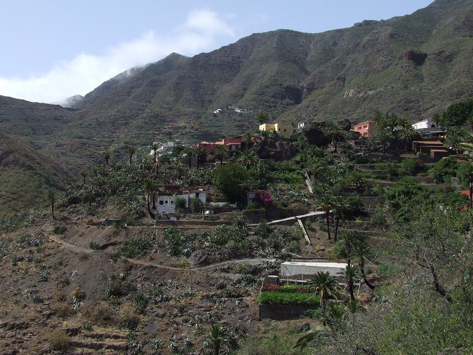 Маска, Тенерифе остров, Канарские острова, фото № 33479 – фотографии Канарских островов