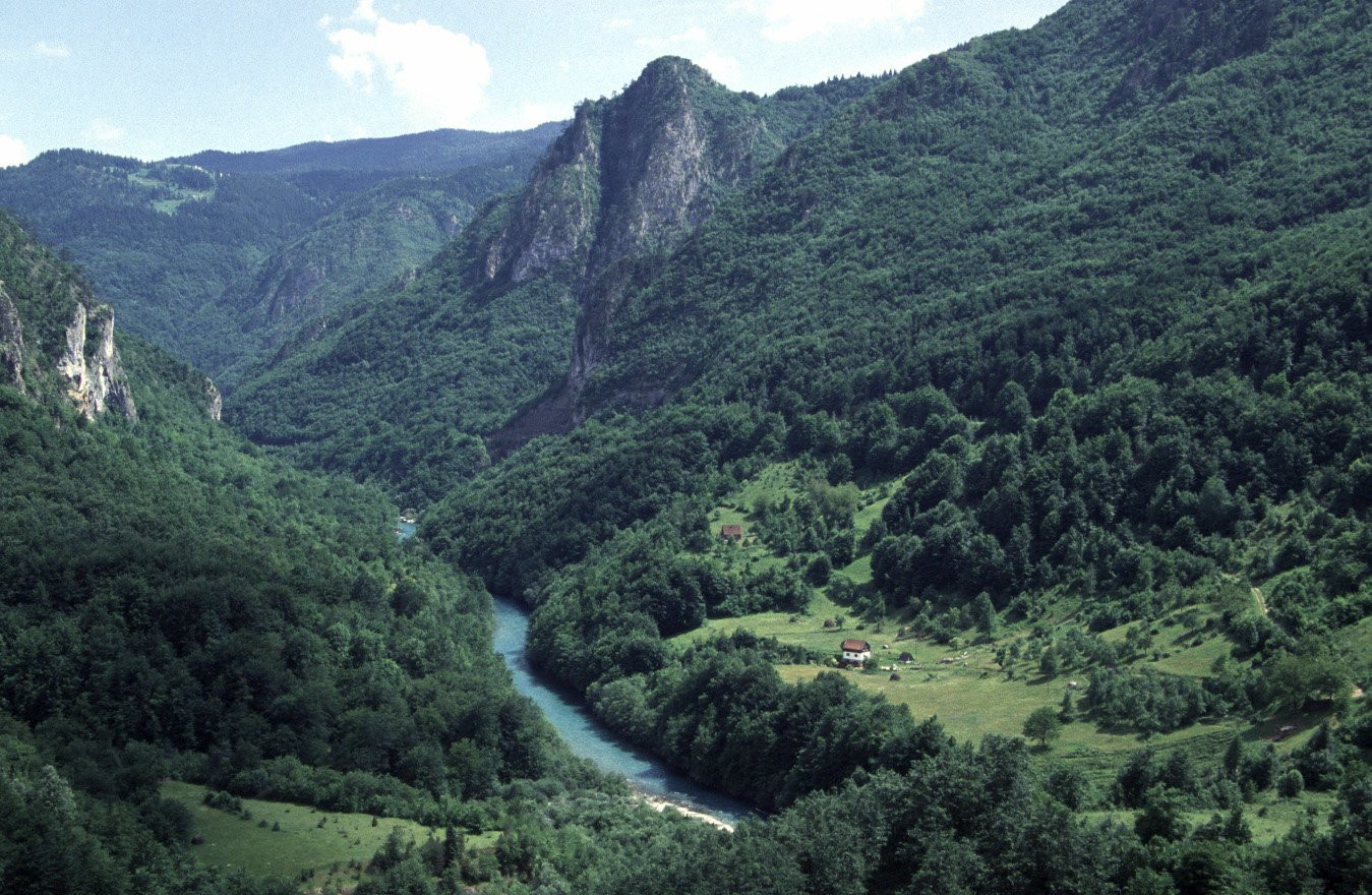 Тара Каньон – фотографии Черногории