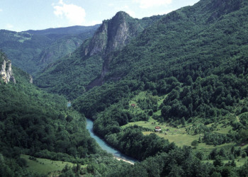 Тара Каньон – фотографии Черногории