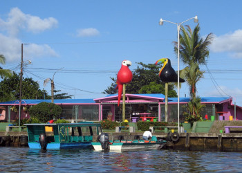 Тортугеро, Лимон провинция, Коста-Рика, фото № 40287 – фотографии Коста-Рики