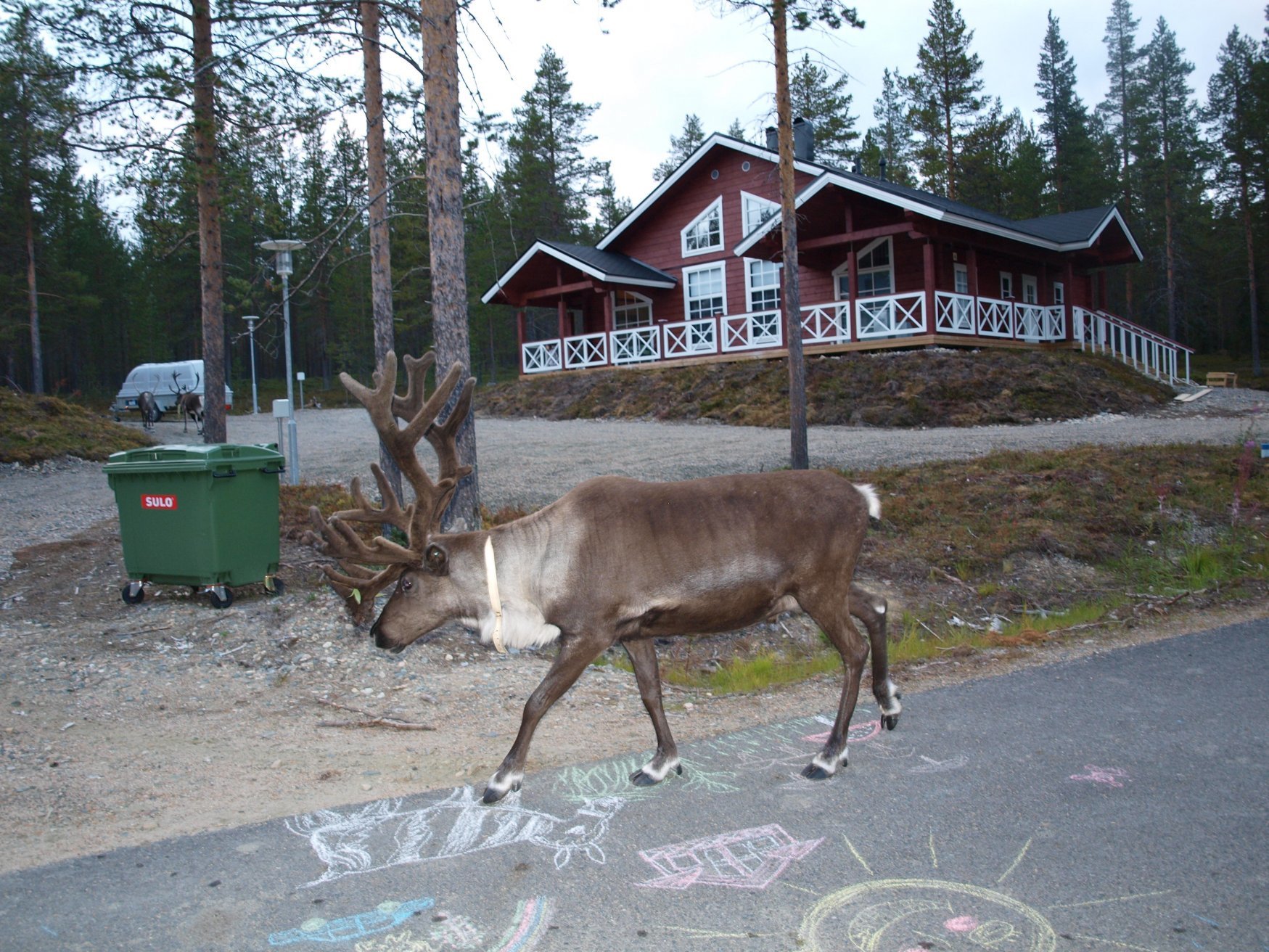 Леви, Финляндия, фото № 74649 – фотографии Финляндии