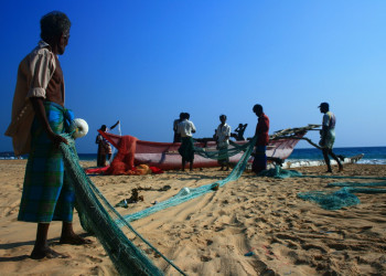 Шри-Ланка, фото № 2446 – фотографии Шри-Ланки