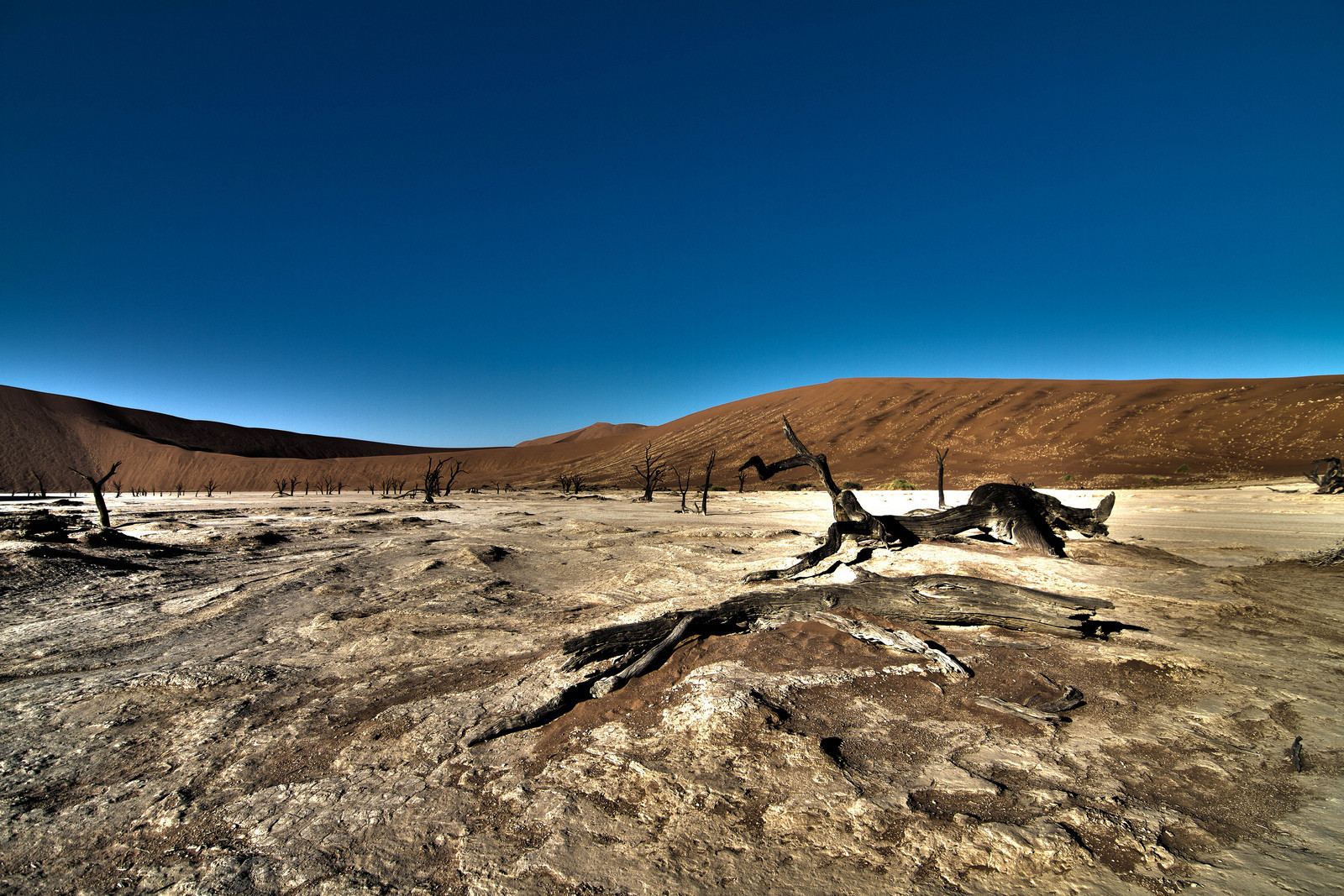 Пустыня Намиб (Namib Desert). Фото 1 – фотографии Намибии