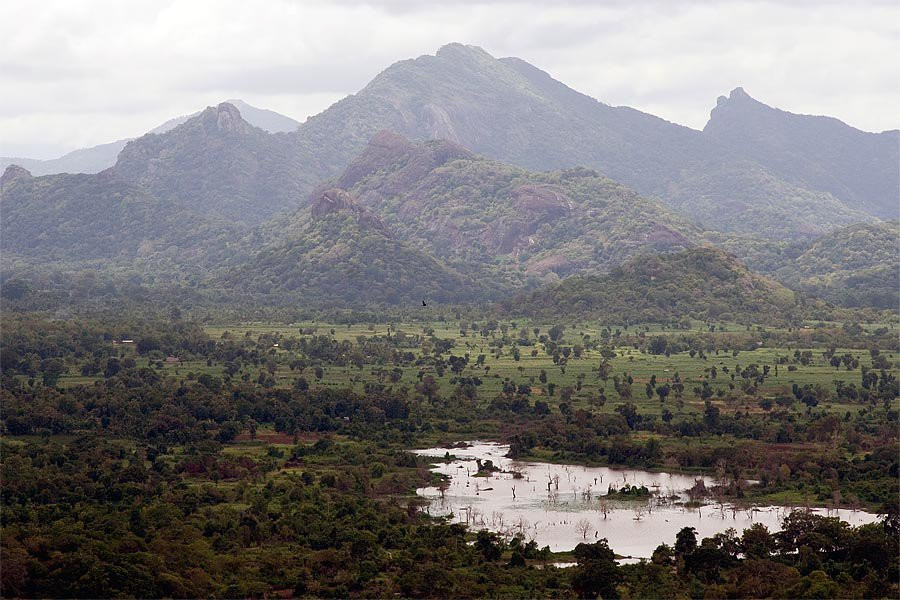 Сигирия, Шри-Ланка, фото № 52267 – фотографии Шри-Ланки