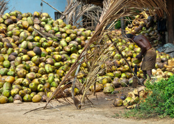 Бентота, фото 1 – фотографии Шри-Ланки
