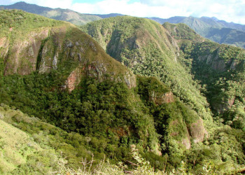 Национальный парк Амборо – фотографии Боливии