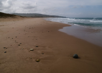 Пляж  на Восточном побережье, Барбадос. Фото 6 – фотографии Барбадоса