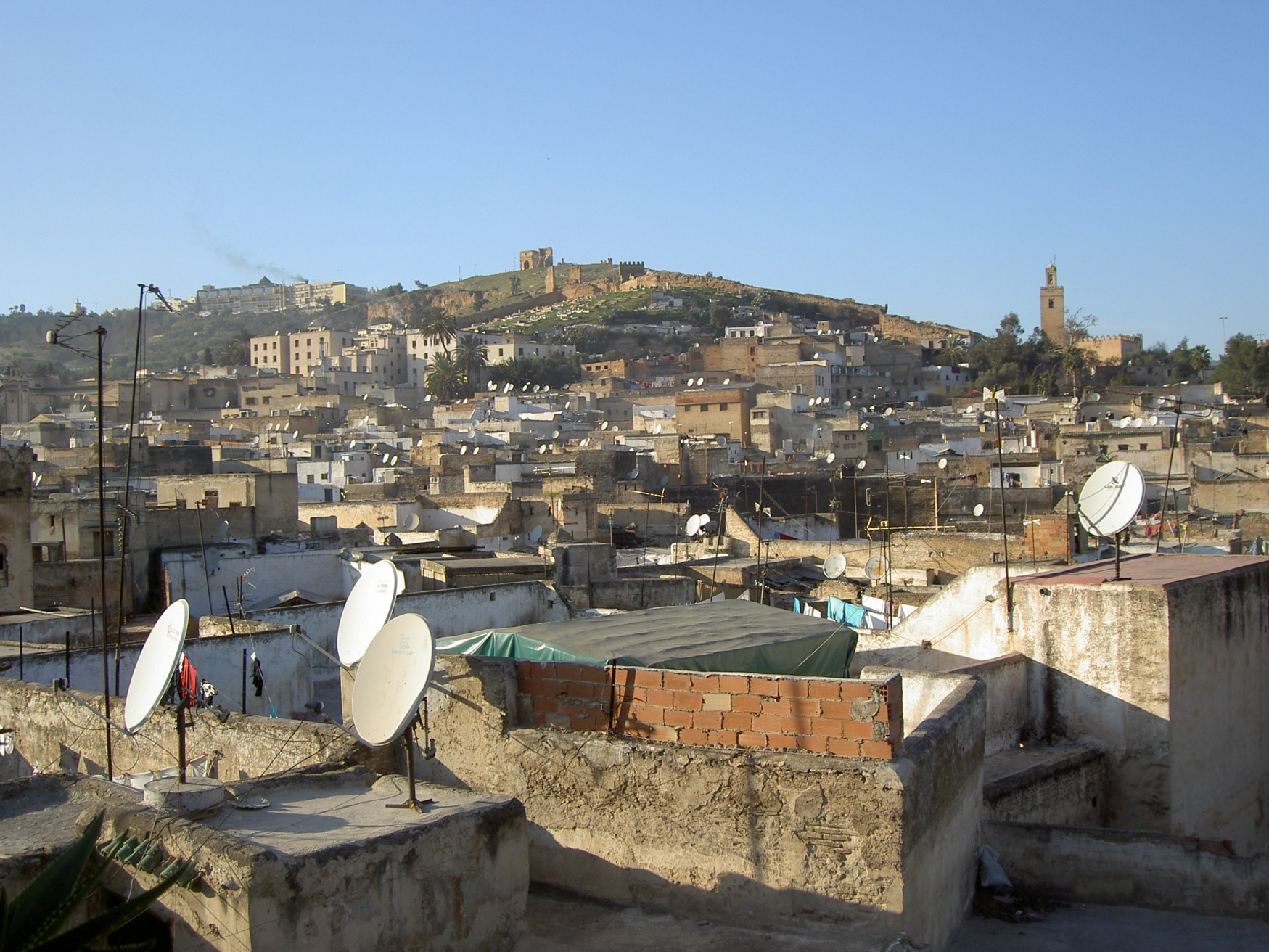 Фес, Марокко, фото № 8546 – фотографии Марокко