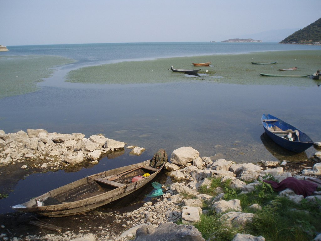 Озеро, Черногория. Фото 31 – фотографии Черногории