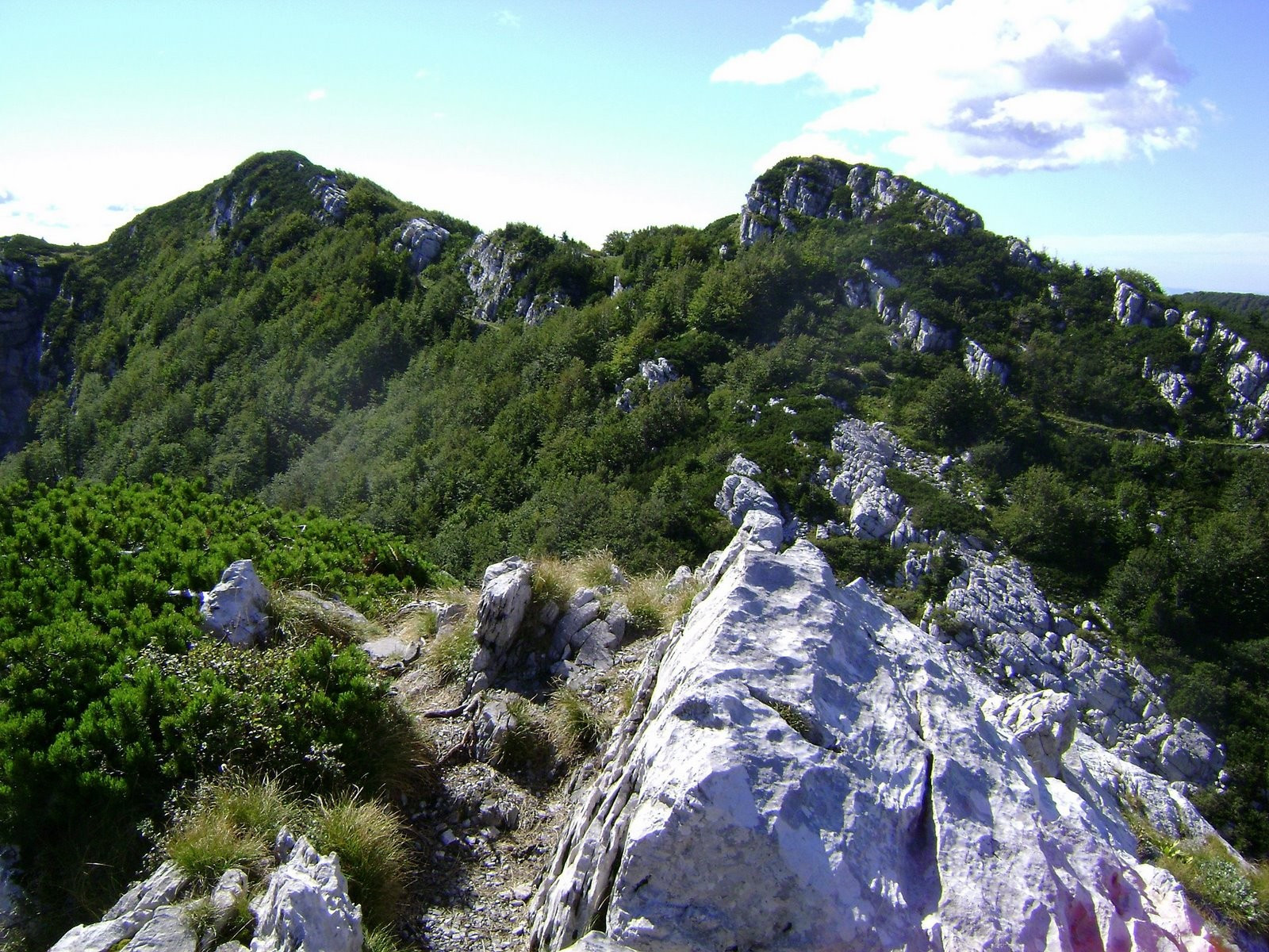 Горы в Рисняк, Хорватия. Фото 9 – фотографии Хорватии