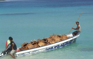 Кабара остров, Лоу группа островов, Фиджи, фото № 48639 – фотографии Фиджи