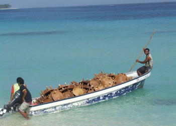 Кабара остров, Лоу группа островов, Фиджи, фото № 48639 – фотографии Фиджи