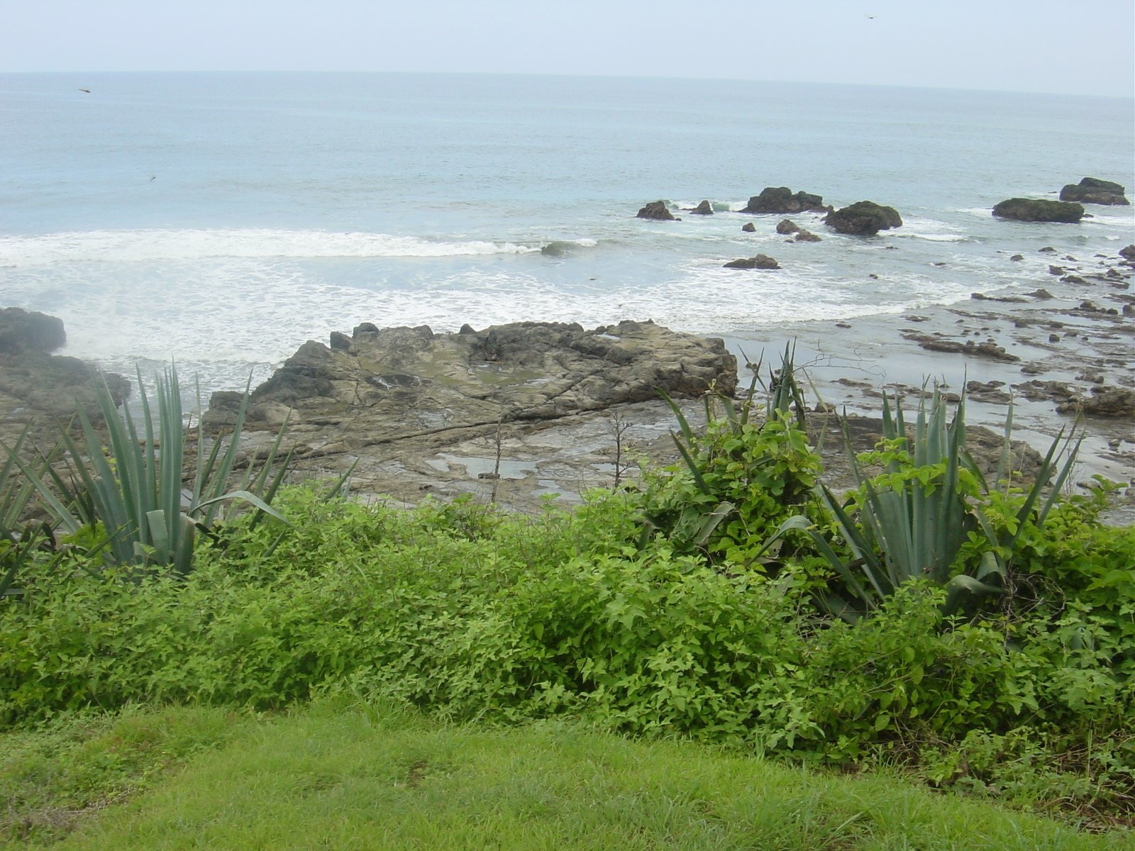 Плайя Хункуиллал, Гуанакасте провинция, Коста-Рика, фото № 39818 – фотографии Коста-Рики