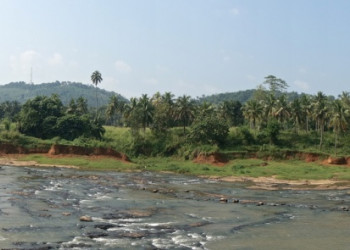 Слоновий питомник в Пиннавеле, Шри-Ланка. Фото 1 – фотографии Шри-Ланки