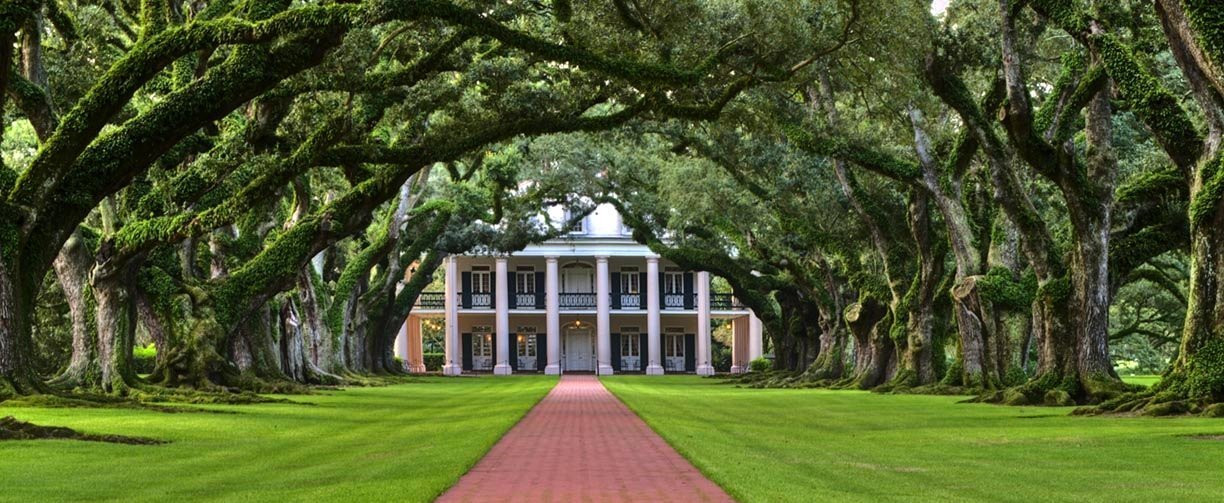 Плантация Дубовая Аллея, Луизиана, США – фотографии США