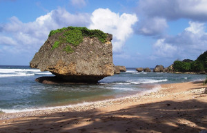 Берег в Батшиба, Барбадос – фотографии Барбадоса