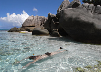 Развлечение на острове Кокос – фотографии Сейшельских островов