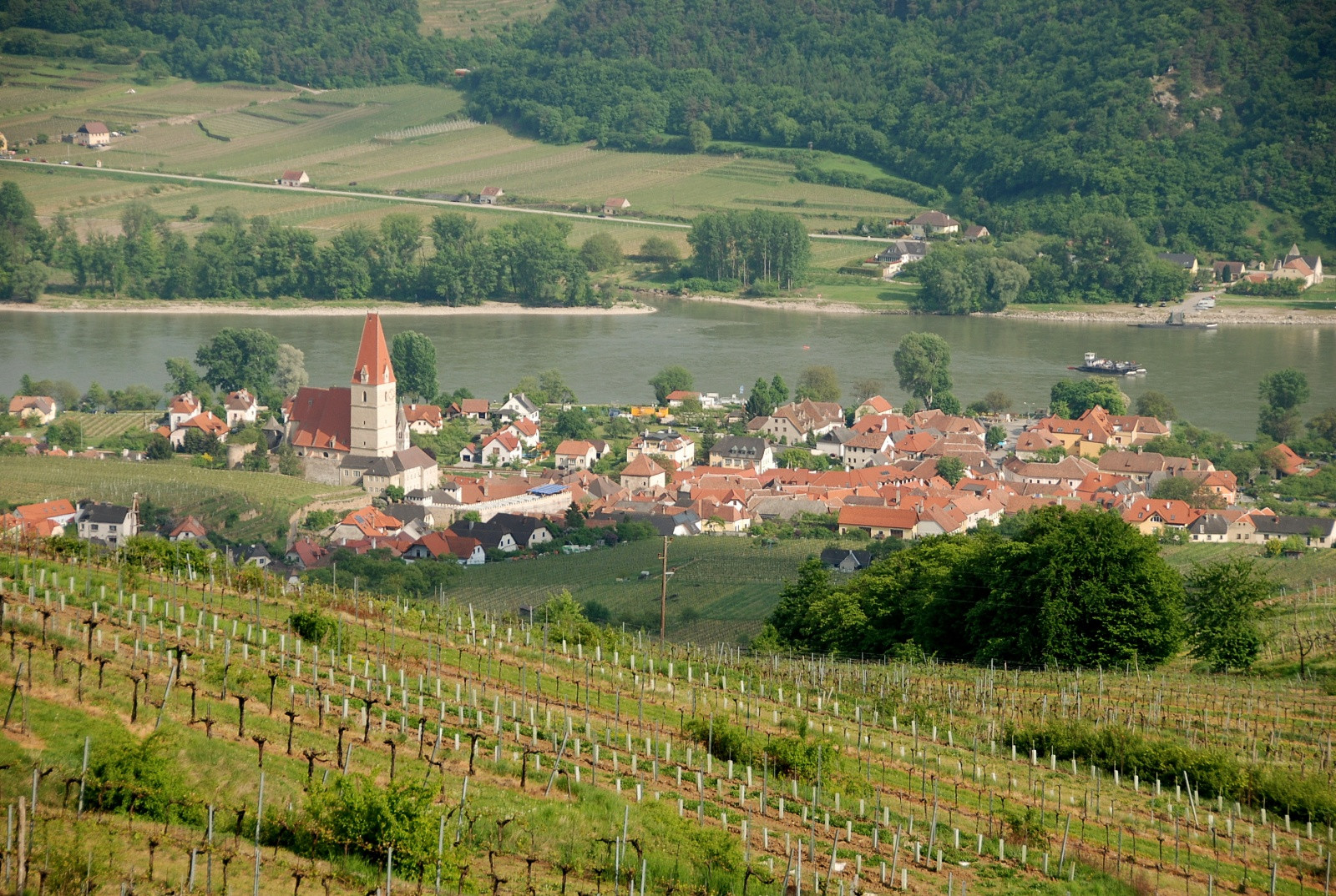 Виноградники в городке Вайсенкирхен-ин-дер-Вахау – фотографии Австрии