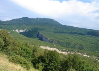 Природа на острове Крк, Хорватия. Фото 5 – фотографии Хорватии