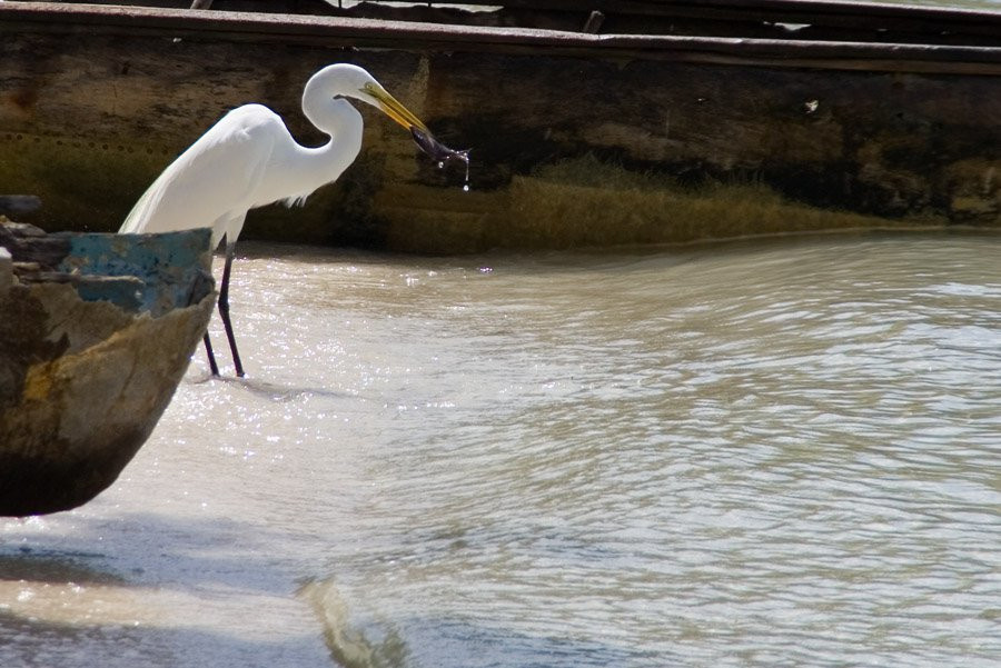Негрил, Ямайка. Фото 9 – фотографии Ямайки