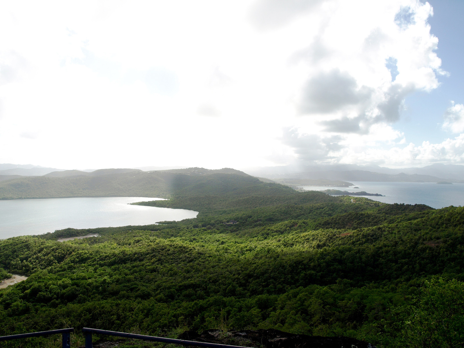 Полуостров Caravelle на востоке Мартиники – фотографии Мартиники