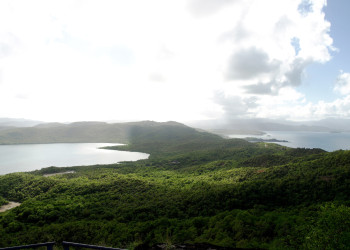 Полуостров Caravelle на востоке Мартиники – фотографии Мартиники