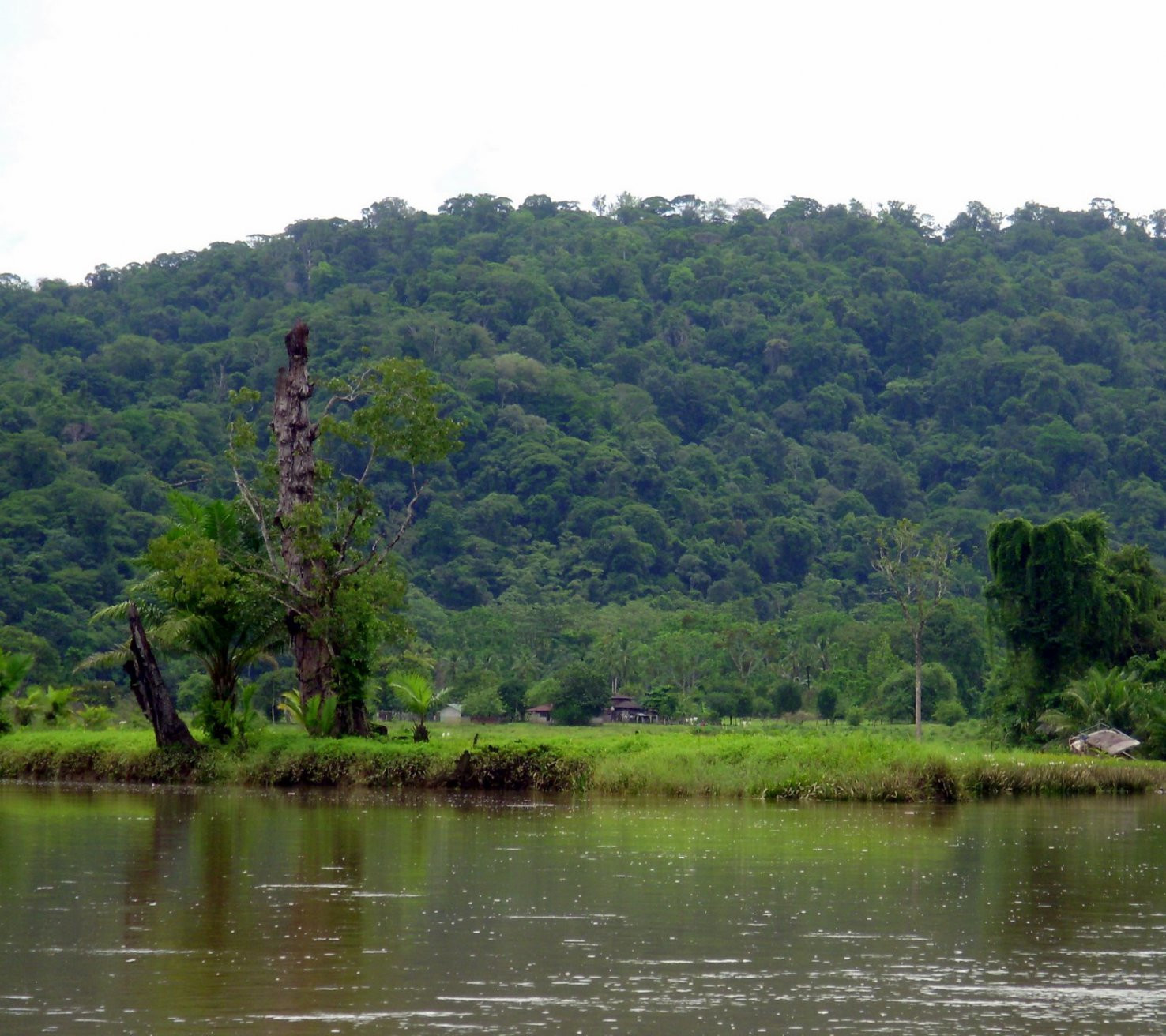 Гольфито, Пунтаренас провинция, Коста-Рика, фото № 40408 – фотографии Коста-Рики