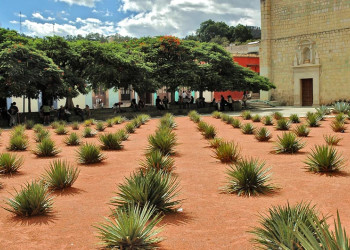 Оахака, Мексика – фотографии Мексики