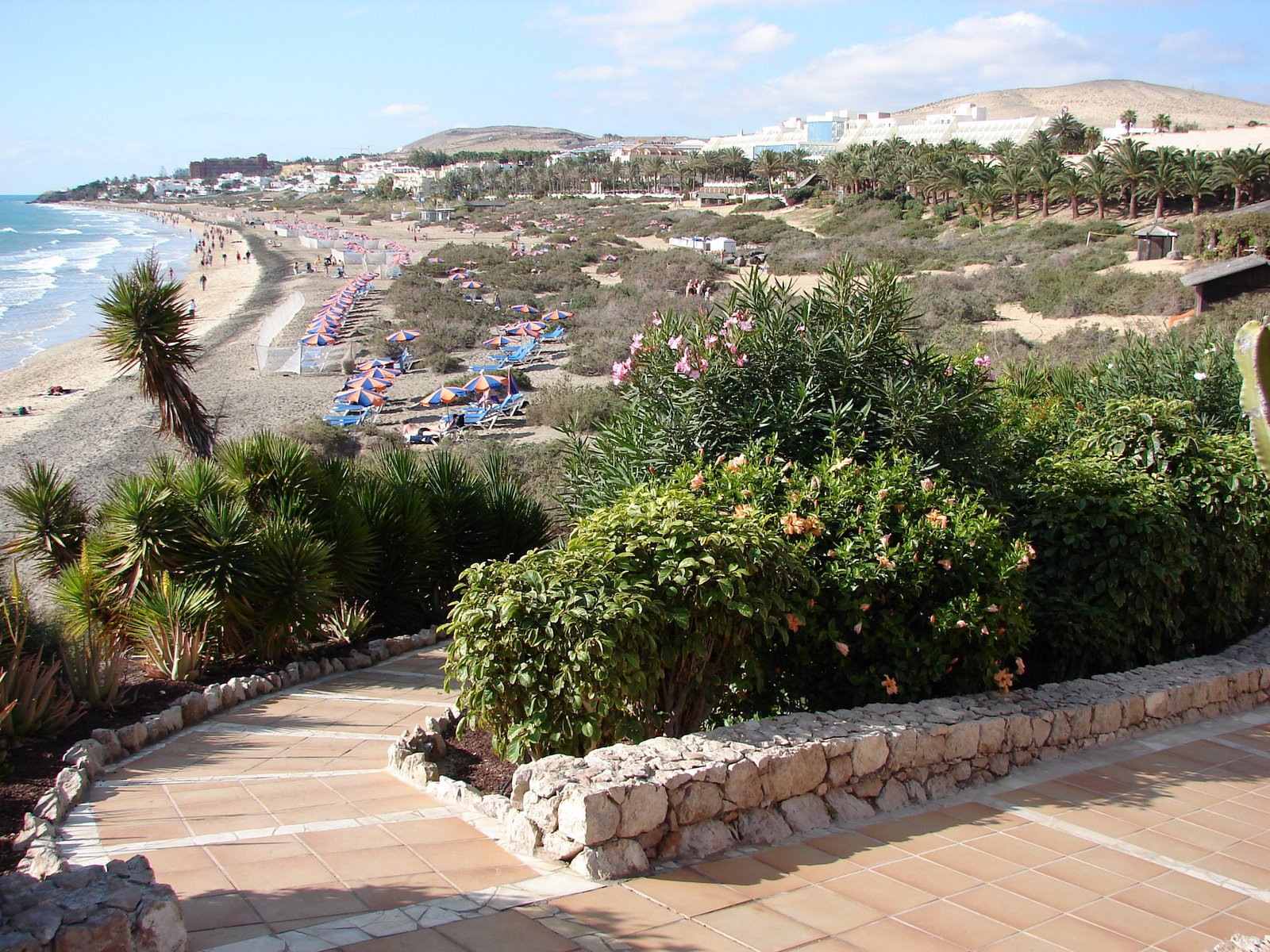 Коста-Кальма, Хандия полуостров, Фуэртевентура остров, Канарские острова, фото № 34259 – фотографии Канарских островов