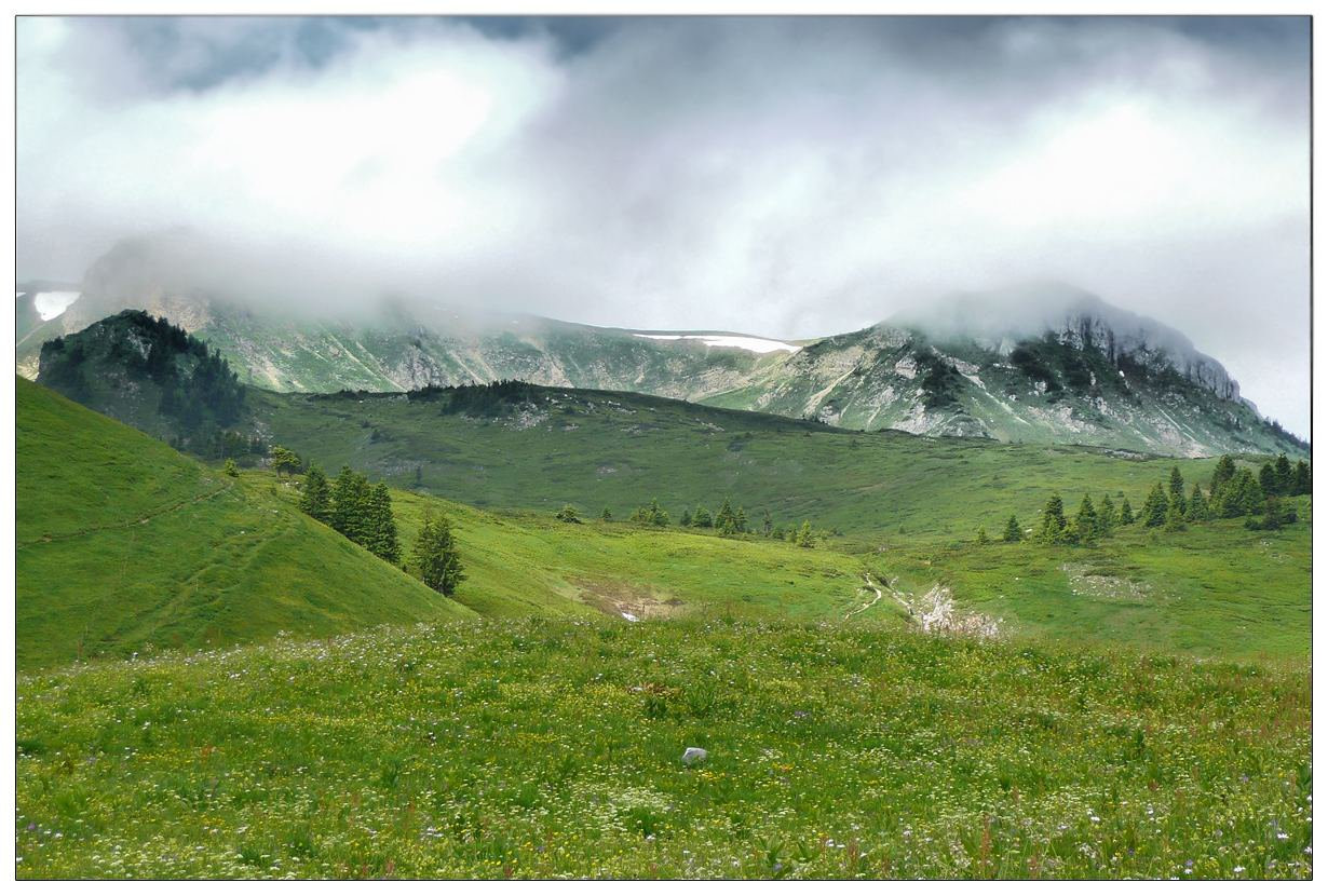 Природа в Беране, Черногория. Фото 2 – фотографии Черногории