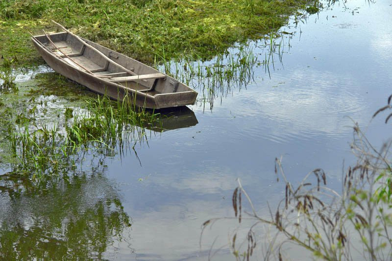 Лодка на Лоньско поле, Хорватия. Фото 2 – фотографии Хорватии