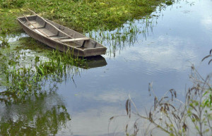 Лодка на Лоньско поле, Хорватия. Фото 2 – фотографии Хорватии