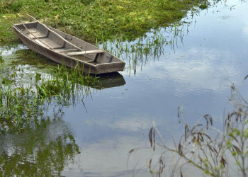 Лодка на Лоньско поле, Хорватия. Фото 2 – фотографии Хорватии